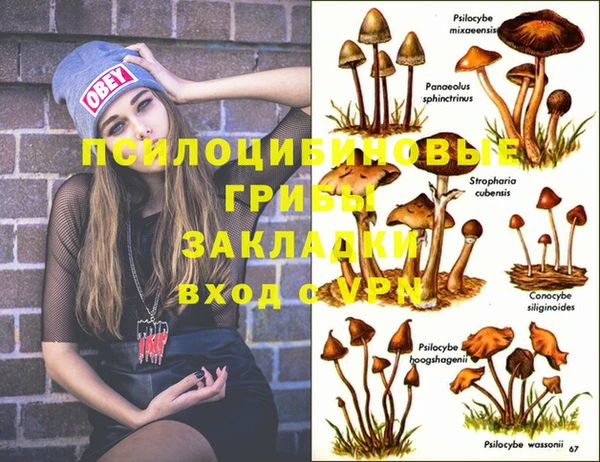 дживик Армянск