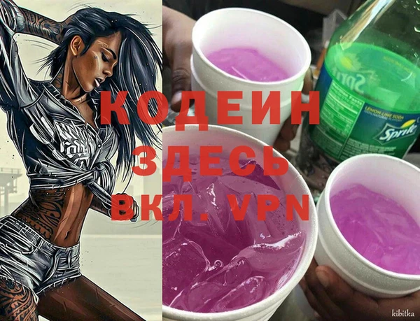 гидра Весьегонск