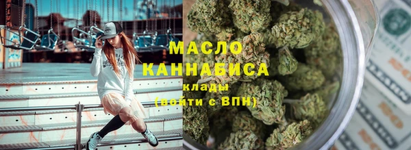 гидра Весьегонск