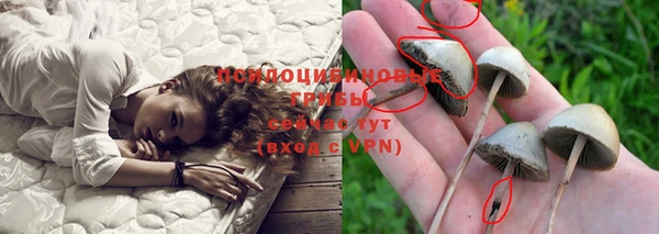 таблы Аркадак